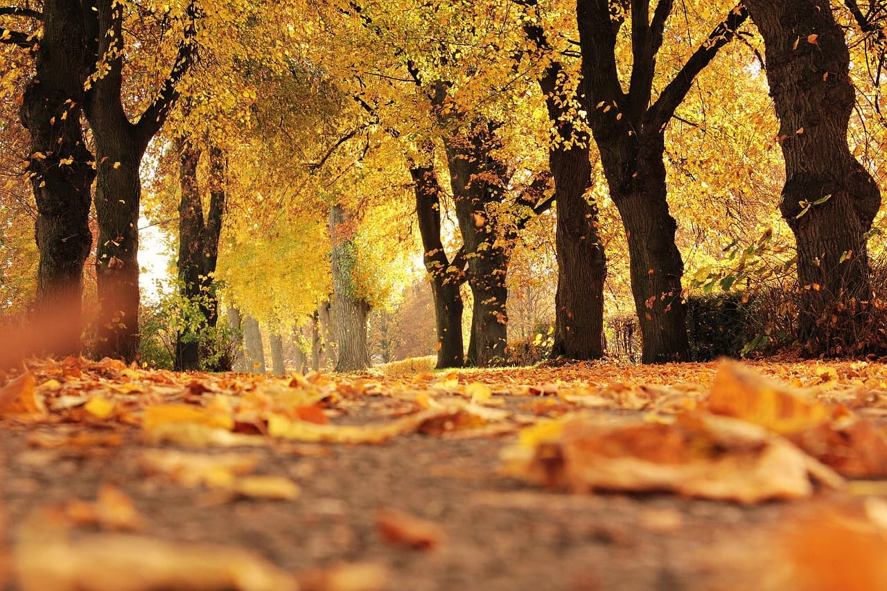 The Most Important Goals In The Life of A Muslim Woman