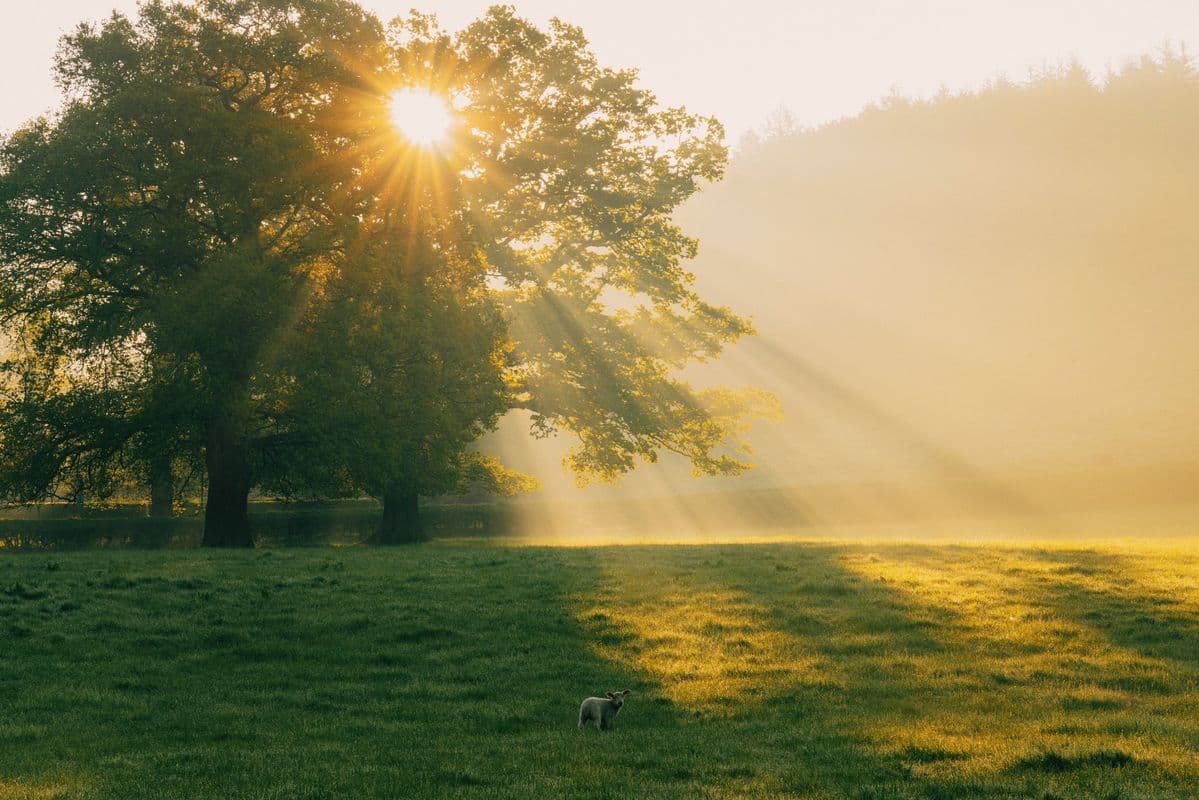 Where Are the Teachings of Christ in Christianity?