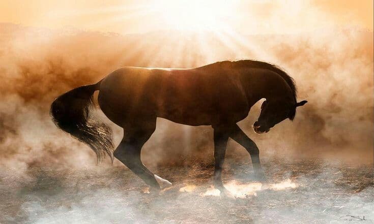 A Battle Beyond the Lens