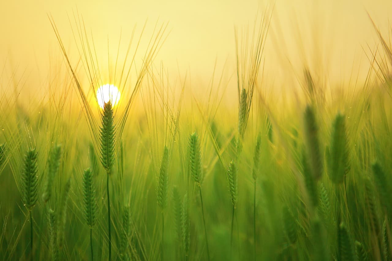 Reflections on Surah Al-Kahf (Khutbah)